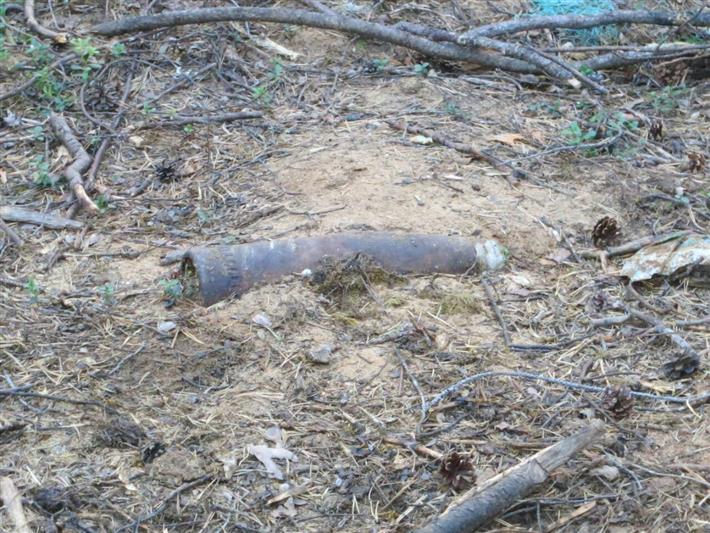 В Карелии взрывотехники ОМОН уничтожили боеприпас времен Великой Отечественной войны