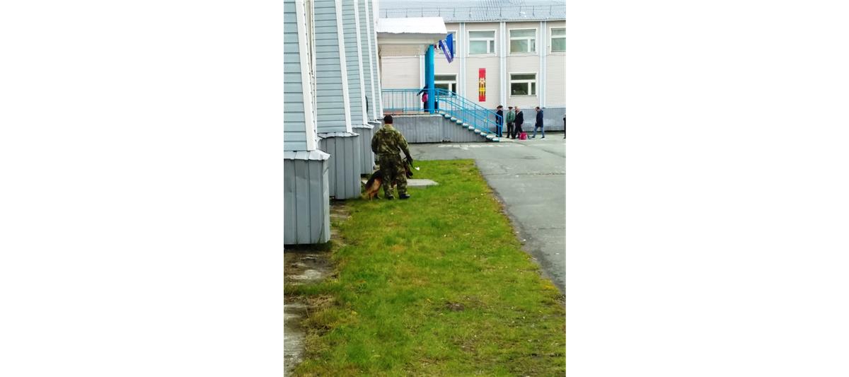 В Салехарде офицеры Росгвардии научили старшеклассников подшефной школы действиям в опасных ситуациях (видео)