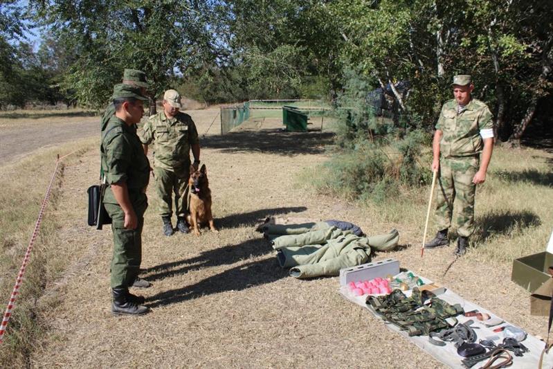 В Росгвардии подводят итоги учебно-методического сбора выпускников военных вузов 
