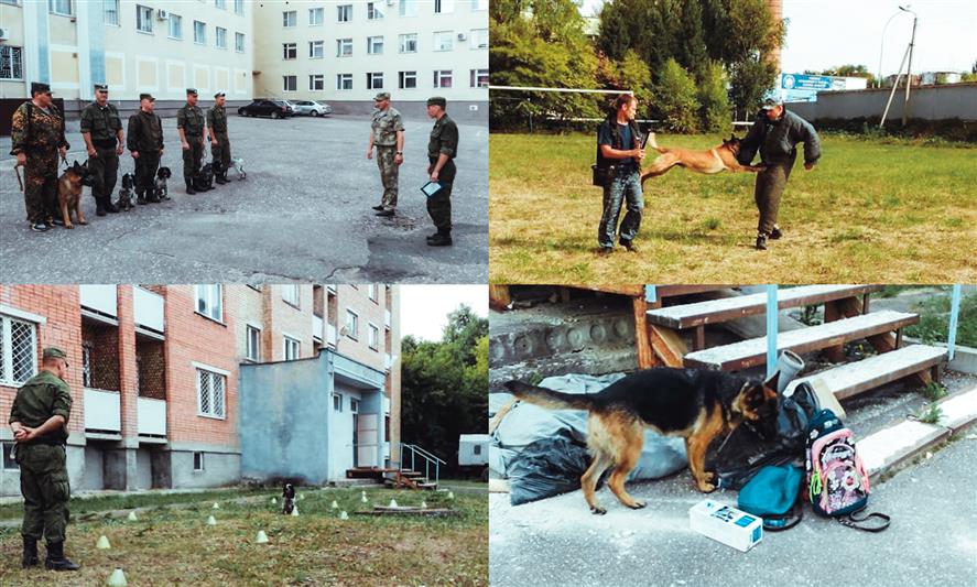 В Пензе прошел учебный сбор специалистов кинологической службы Росгвардии и МВД