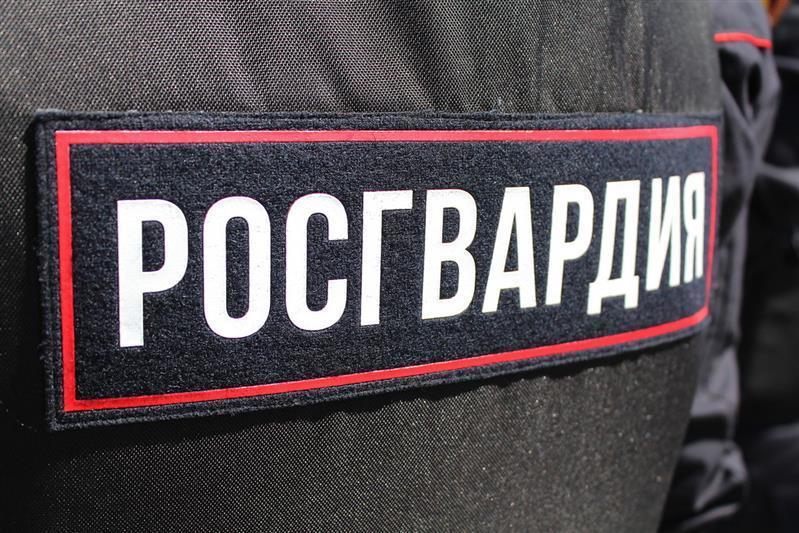 В Вологодской области сотрудники Росгвардии стали очевидцами ДТП и оказали необходимую первую помощь