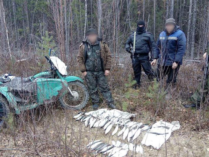 В Северобайкальском районе Бурятии росгвардейцы задержали браконьеров