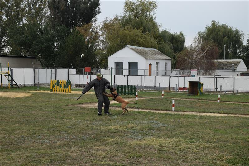 В Ростовской области подведены итоги II чемпионата войск национальной гвардии по многоборью кинологов (Видео)