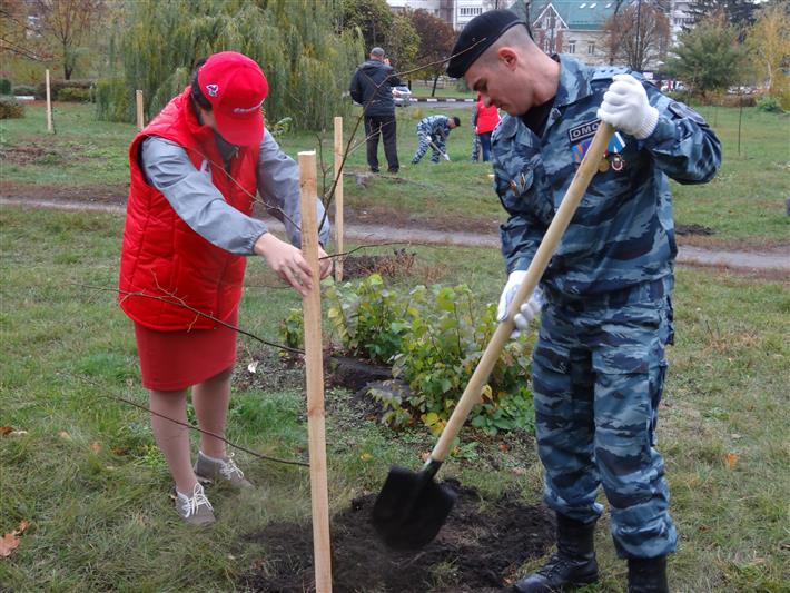 Сотрудники белгородского управления Росгвардии приняли участие в высадке липовой аллеи в рамках акции «Герои среди нас»