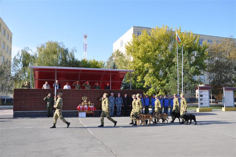 В Ростовской области подведены итоги II чемпионата войск национальной гвардии по многоборью кинологов (Видео)