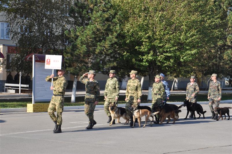 В Ростовской области подведены итоги II чемпионата войск национальной гвардии по многоборью кинологов (Видео)