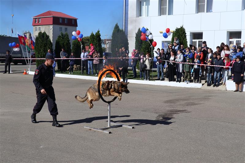 В Краснодаре прошел конкурс профессионального мастерства среди сотрудников вневедомственной охраны Росгвардии (фото, видео)
