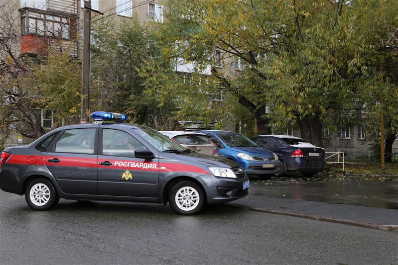В Челябинской области сотрудники Росгвардии задержали находившихся в розыске и подозреваемую в крупном мошенничестве