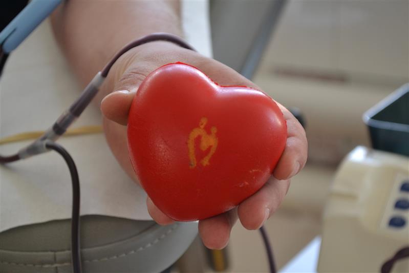 В Великом Новгороде росгвардейцы сдали кровь для нужд медицинских учреждений