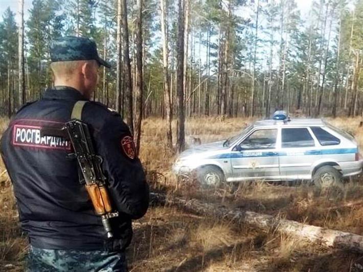В Бурятии росгвардейцы пресекли незаконную рубку лесных насаждений