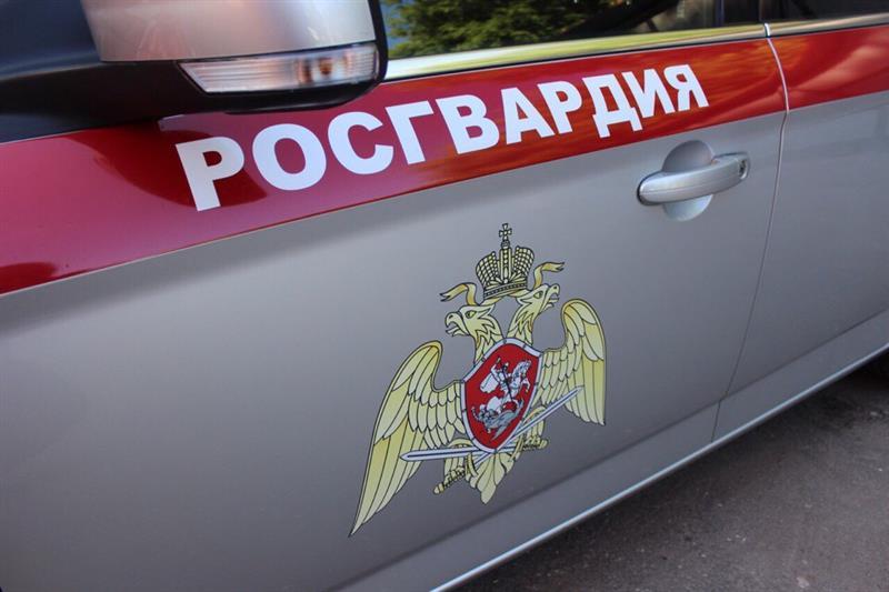 При участии Росгвардии в Магаданской области пресечен незаконный отлов краснокнижных соколов (видео)