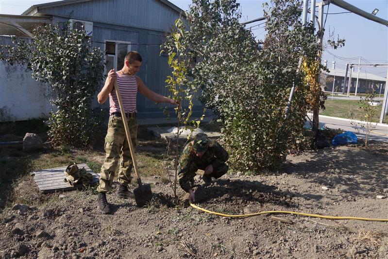 В Ханкале военнослужащие приняли участие в озеленении территории 