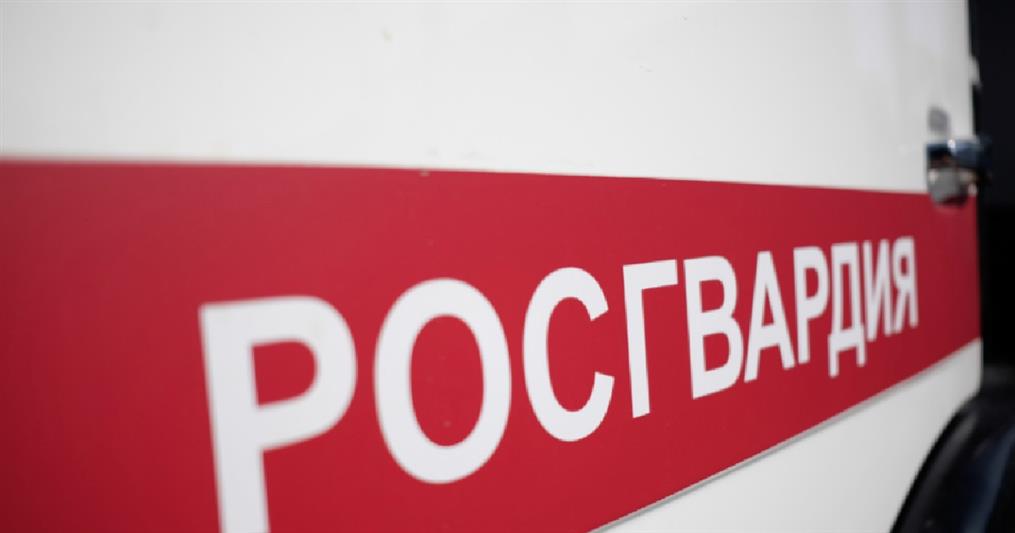 Сотрудники отдела вневедомственной охраны по Киришскому району Ленинградской области задержали мужчину, находившегося в федеральном розыске