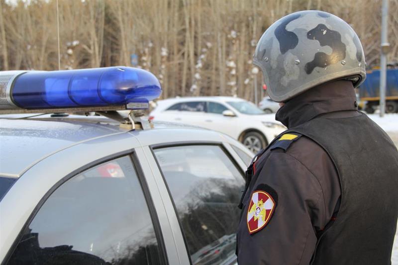 В Челябинске офицер Росгвардии задержал грабителя, а в Тобольске полиции передан похититель автоаккумуляторов  