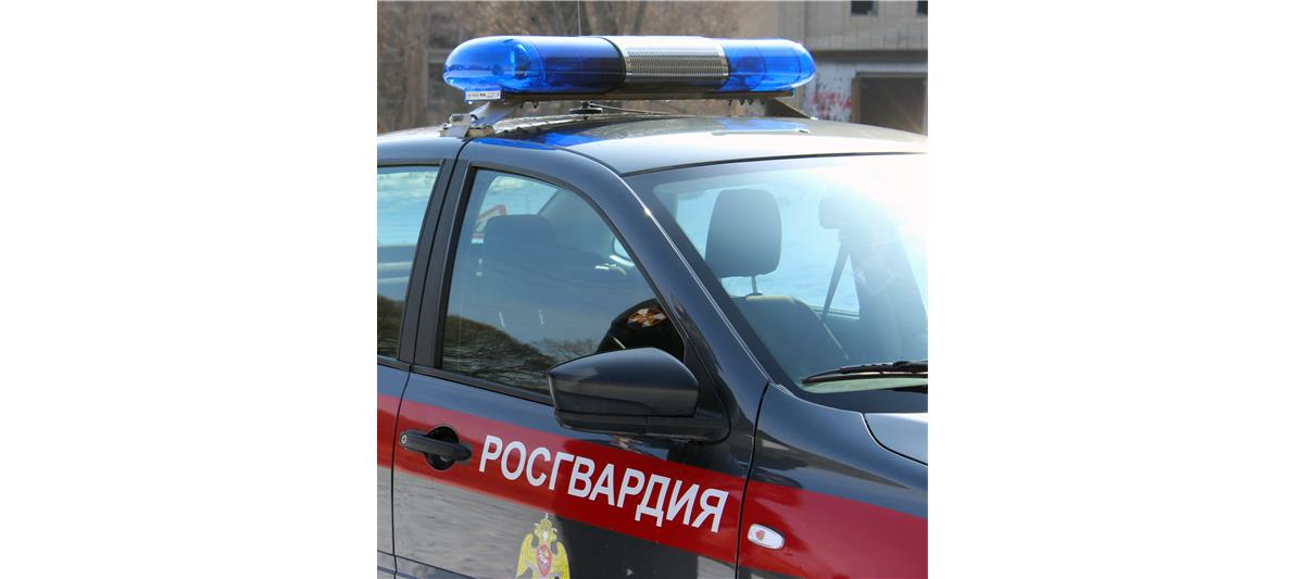 За неделю в регионах Приволжского округа сотрудники Росгвардии задержали ряд подозреваемых в совершении преступлений