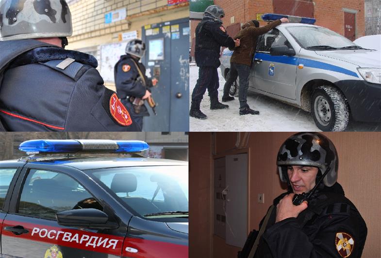 За неделю в регионах Приволжского округа сотрудники Росгвардии задержали ряд подозреваемых в совершении преступлений