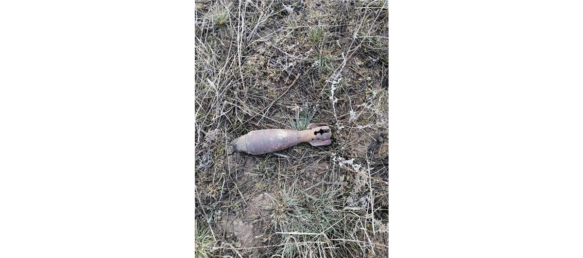 Взрывотехники калмыцкого ОМОН уничтожили боеприпас времен Великой Отечественной войны 