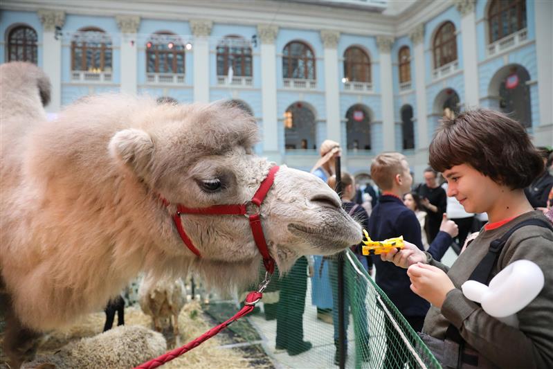 РОСГВАРДИЯ ПРОВЕЛА БЛАГОТВОРИТЕЛЬНУЮ  РОЖДЕСТВЕНСКУЮ ЕЛКУ В ГОСТИНОМ ДВОРЕ
