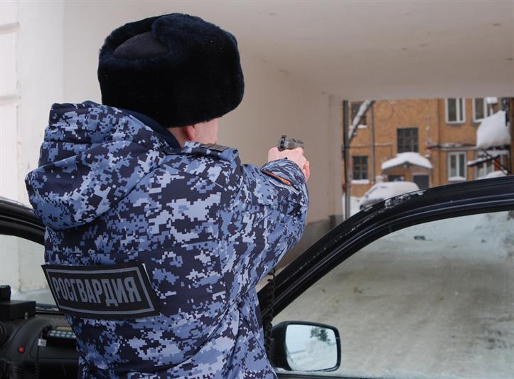 В регионах Приволжья сотрудники Росгвардии пресекли несколько преступлений