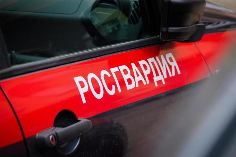 В Саранске росгвардейцы передали полиции подозреваемого в нанесении телесных повреждений местной жительнице, а также мужчину, уклонявшегося от отбывания наказания в колонии-поселении