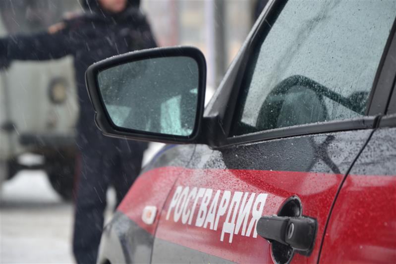 Тольяттинские росгвардейцы задержали подозреваемого в серии грабежей