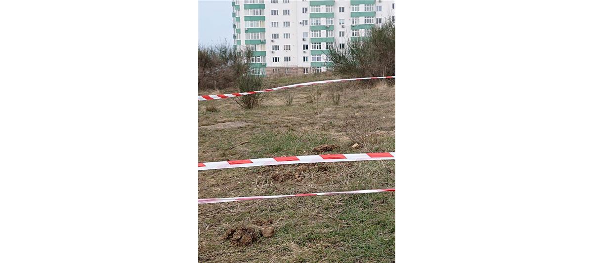 Взрывотехники ОМОН уничтожили авиабомбу, обнаруженную в жилом районе Севастополя