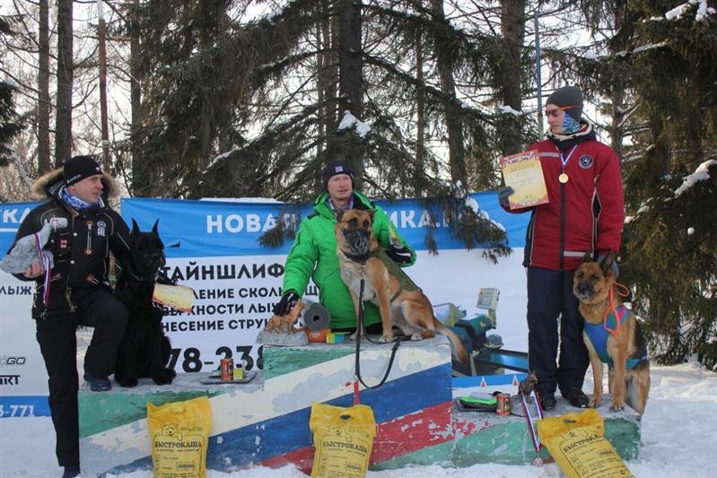 Росгвардейцы стали победителями и призерами чемпионата России по кинологическому спорту