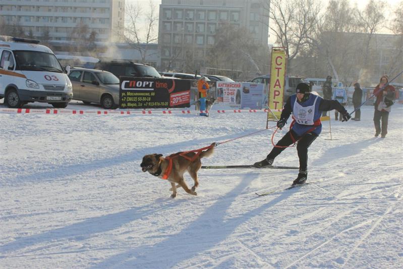 Росгвардейцы стали победителями и призерами чемпионата России по кинологическому спорту