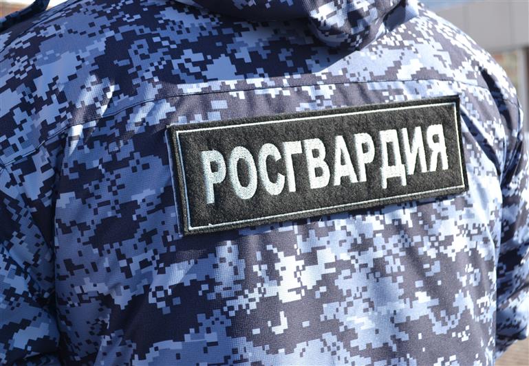 В Ульяновской области сотрудники Росгвардии нашли потерявшегося ребёнка 