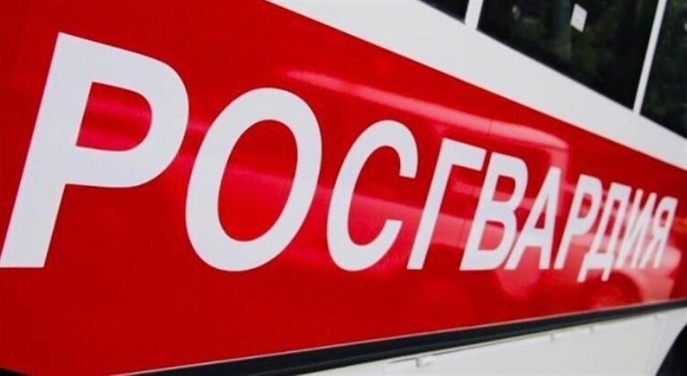 Подмосковные росгвардейцы задержали подозреваемого в совершении особо тяжкого преступления 