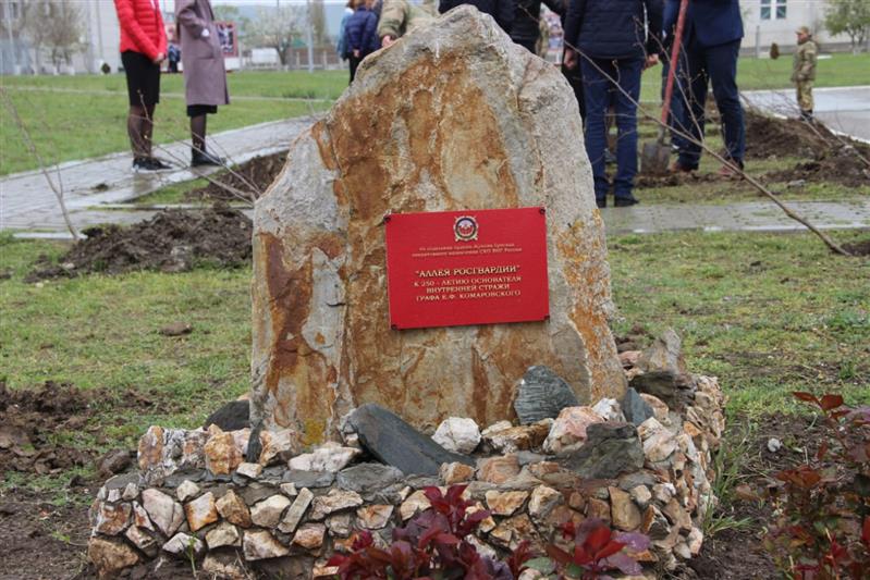 На Северном Кавказе продолжается акция «Аллея Росгвардии» (фото)