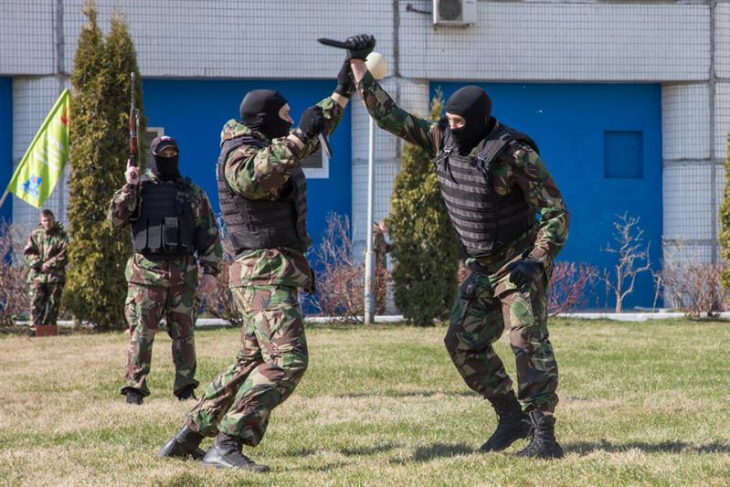 Спортивный праздник в честь «Динамо»