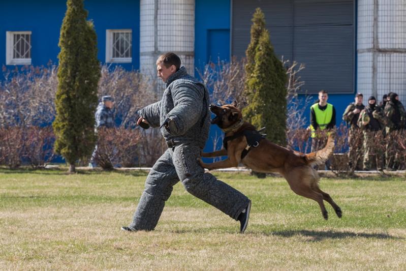 Спортивный праздник в честь «Динамо»
