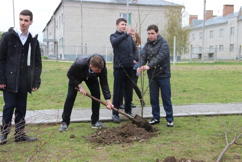 На Северном Кавказе продолжается акция «Аллея Росгвардии» (фото)