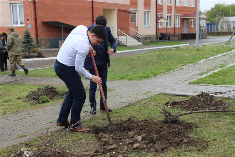 На Северном Кавказе продолжается акция «Аллея Росгвардии» (фото)