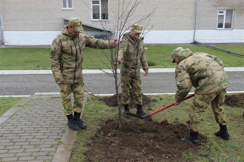На Северном Кавказе продолжается акция «Аллея Росгвардии» (фото)