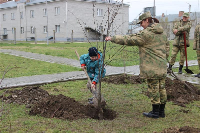 На Северном Кавказе продолжается акция «Аллея Росгвардии» (фото)