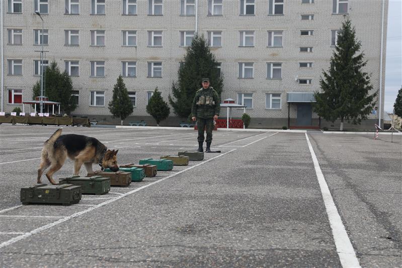 Инженерно-саперный полк Северо-Кавказского округа Росгвардии отметил годовщину образования