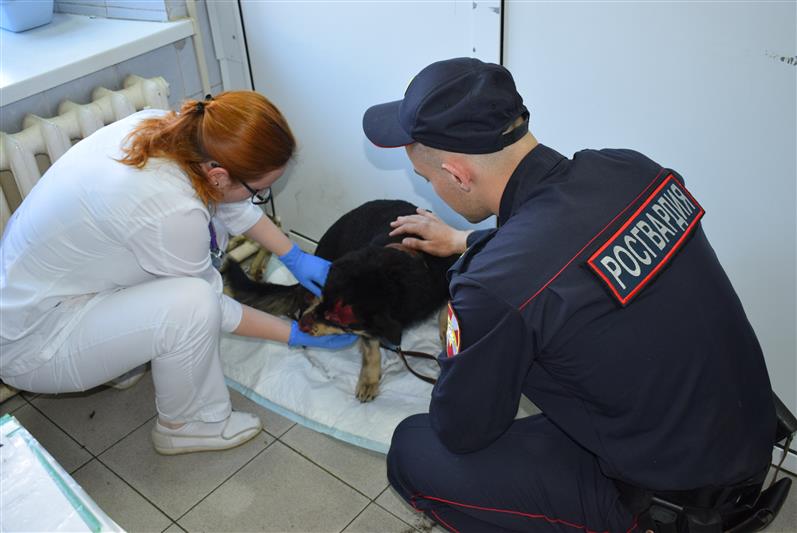 В Иркутске росгвардейцы спасли из пожара пять человек