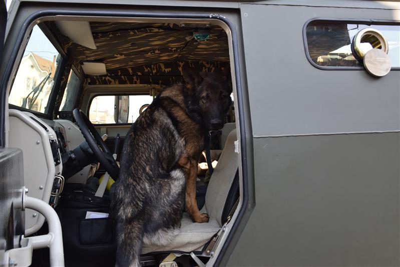 Кинологи «Витязя» со своими питомцами навестили воспитанников ногинской школы-интерната