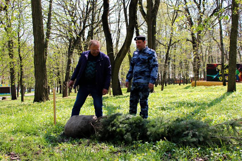 На Ставрополье проведена акция «Аллея Росгвардии»