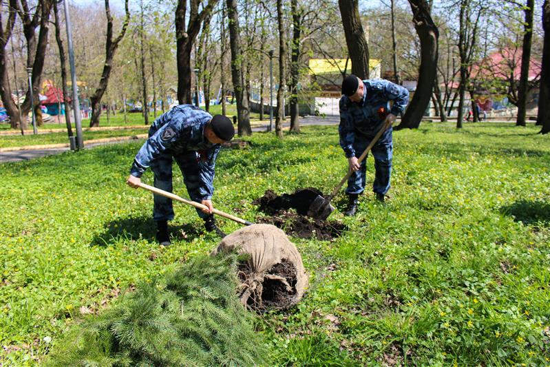 На Ставрополье проведена акция «Аллея Росгвардии»