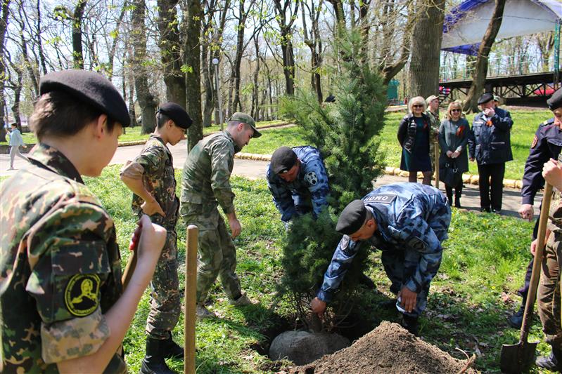 На Ставрополье проведена акция «Аллея Росгвардии»