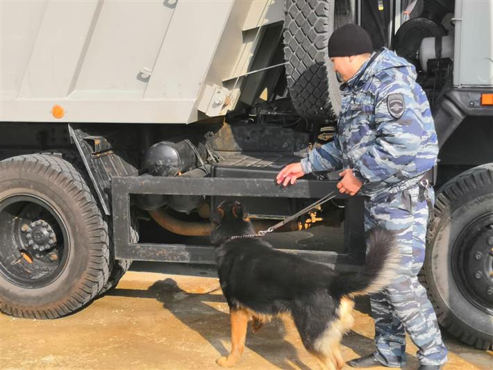 Кинологи калмыцкого управления Росгвардии обменялись опытом с коллегами из полиции