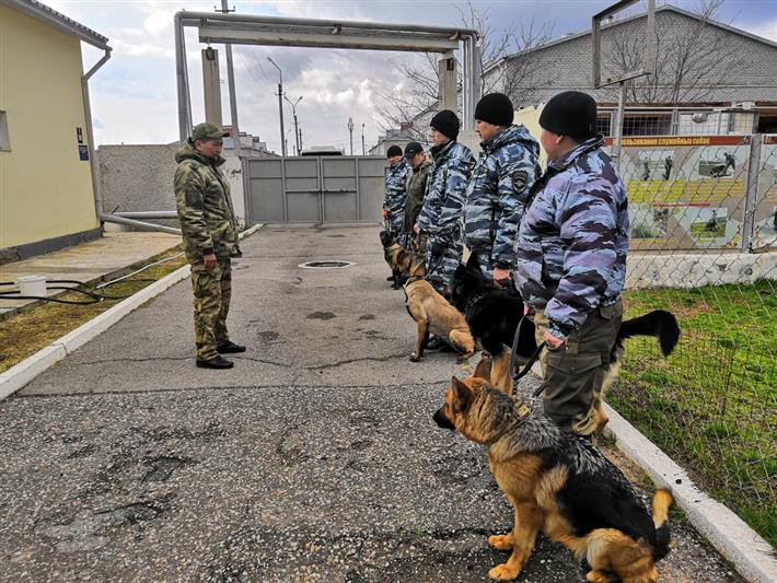 Кинологи калмыцкого управления Росгвардии обменялись опытом с коллегами из полиции