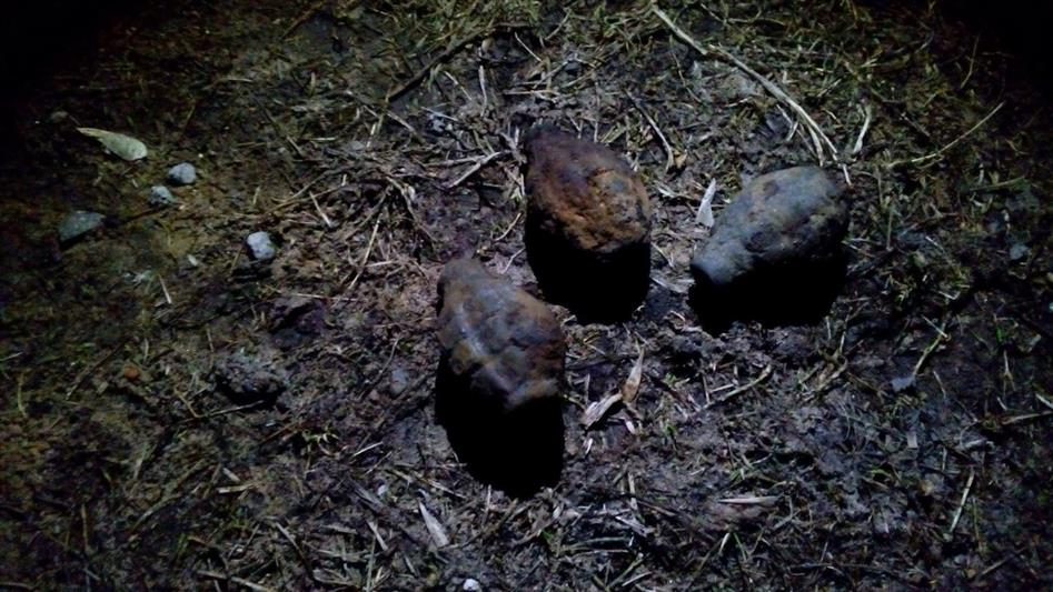 В Ярославской области сотрудники ОМОН обследовали взрывоопасную находку