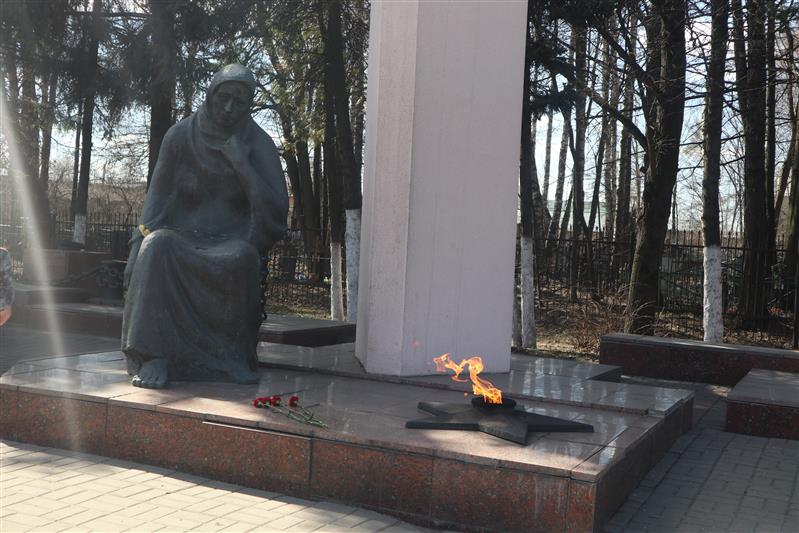 Солнечногорск присоединился к акции Росгвардии «На страже памяти» 