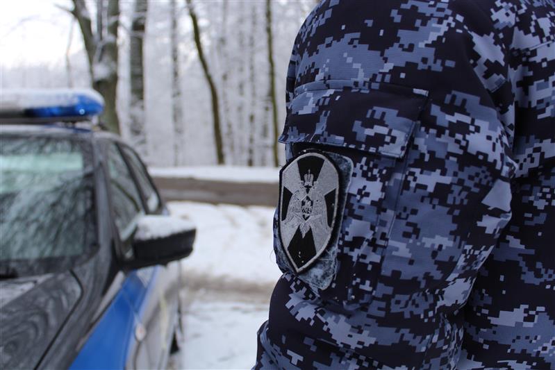 В Новгородской области проведено оперативно-профилактическое мероприятие «Оружие»