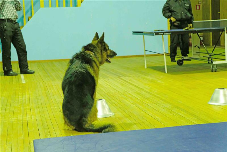 На базе якутского ОМОН состоялось тематическое мероприятие для школьников, посвященное биографии генерала Комаровского