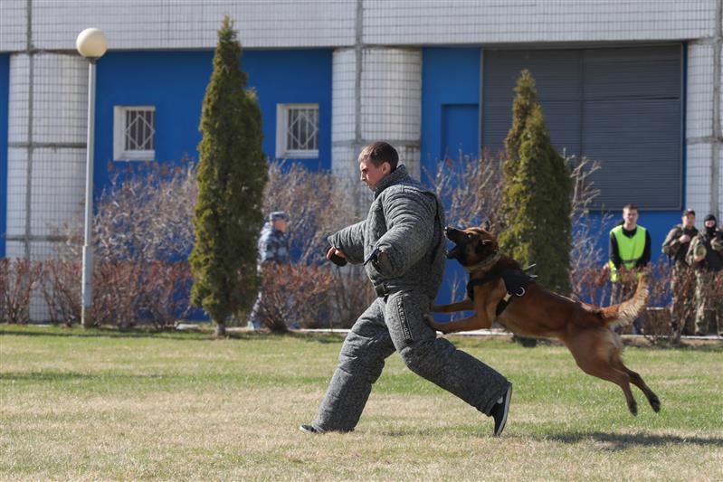 В Москве Росгвардия провела открытый спортивный праздник, посвященный 96-летию общества «Динамо» (видео)